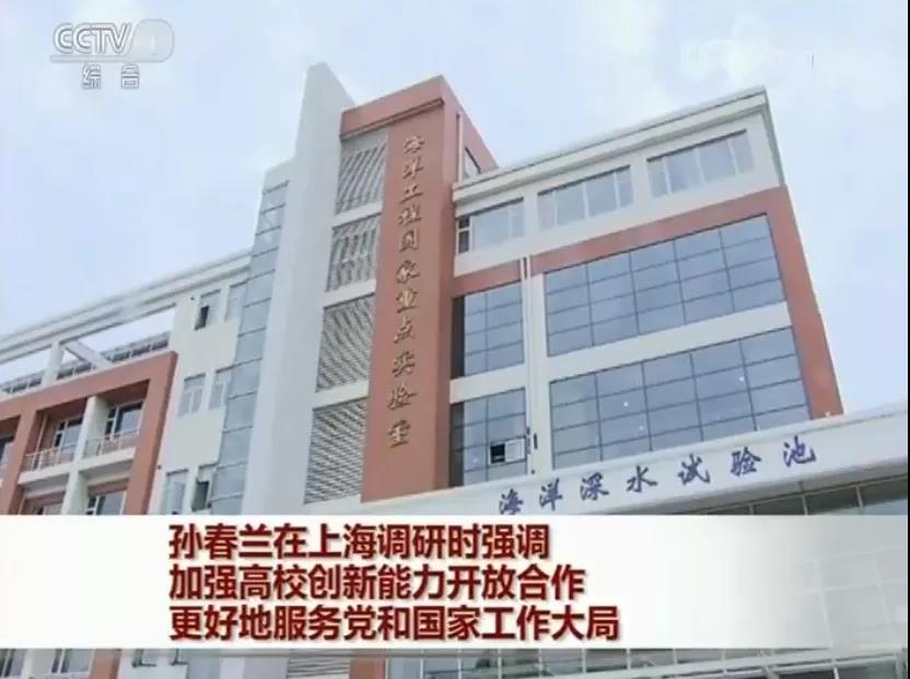 1561001022632136.jpg 1561001022632136.jpg